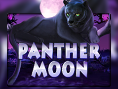 Panther Moon