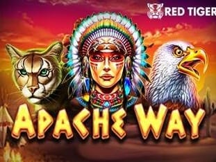 Apache Way
